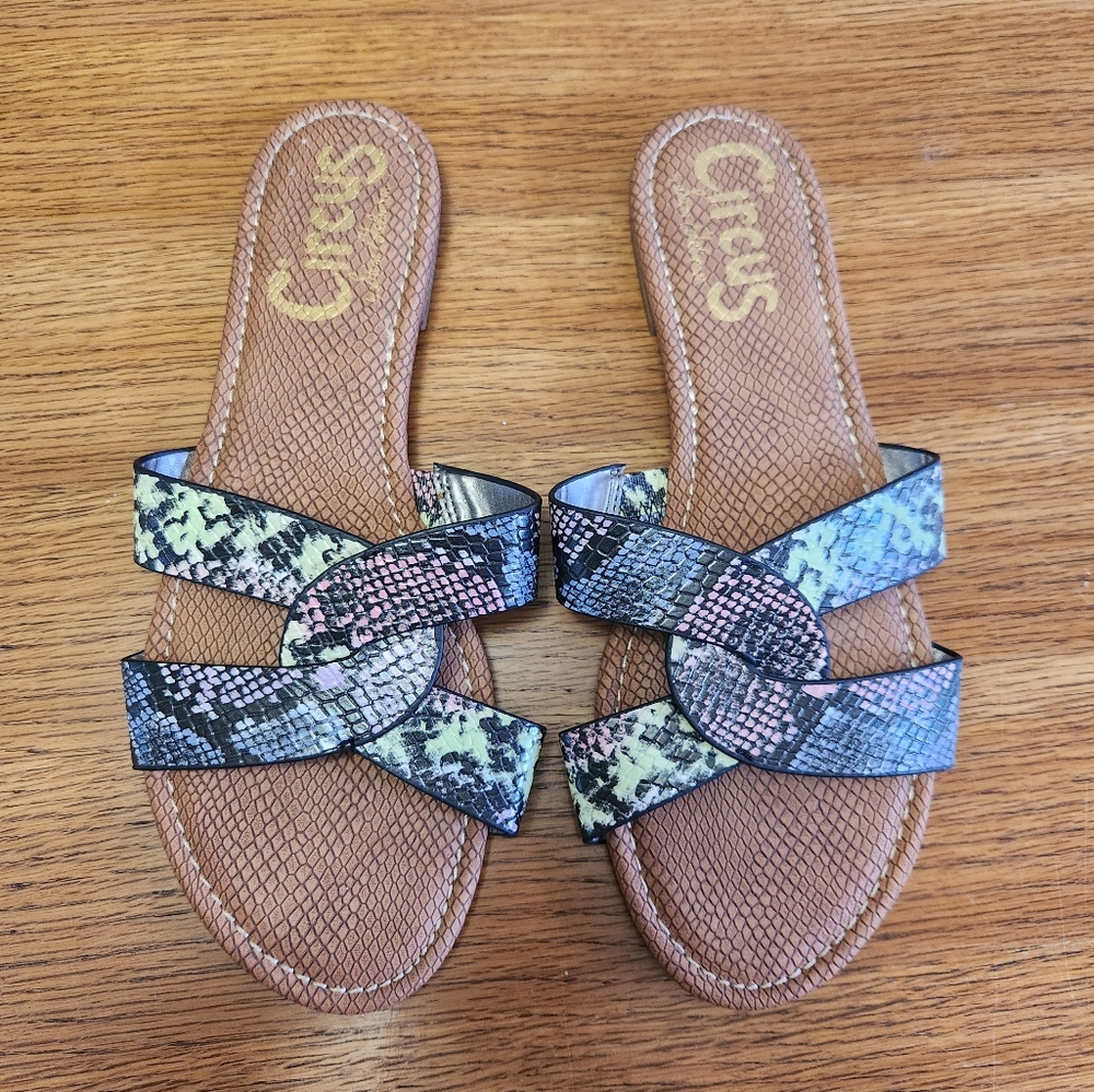 Circus Sam Edleman Women's Clover Slide Sandal in Multi-color Snake Print 9.5